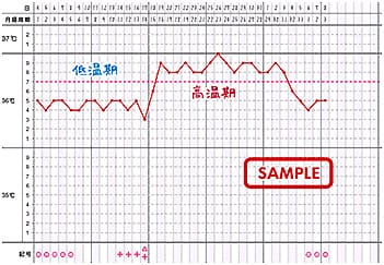 基礎体温表